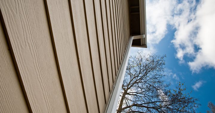 Downspout and siding on an urban house
